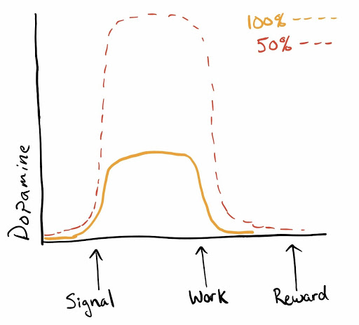 The Uncomfortable Truth About Motivation (And What To Do Instead)